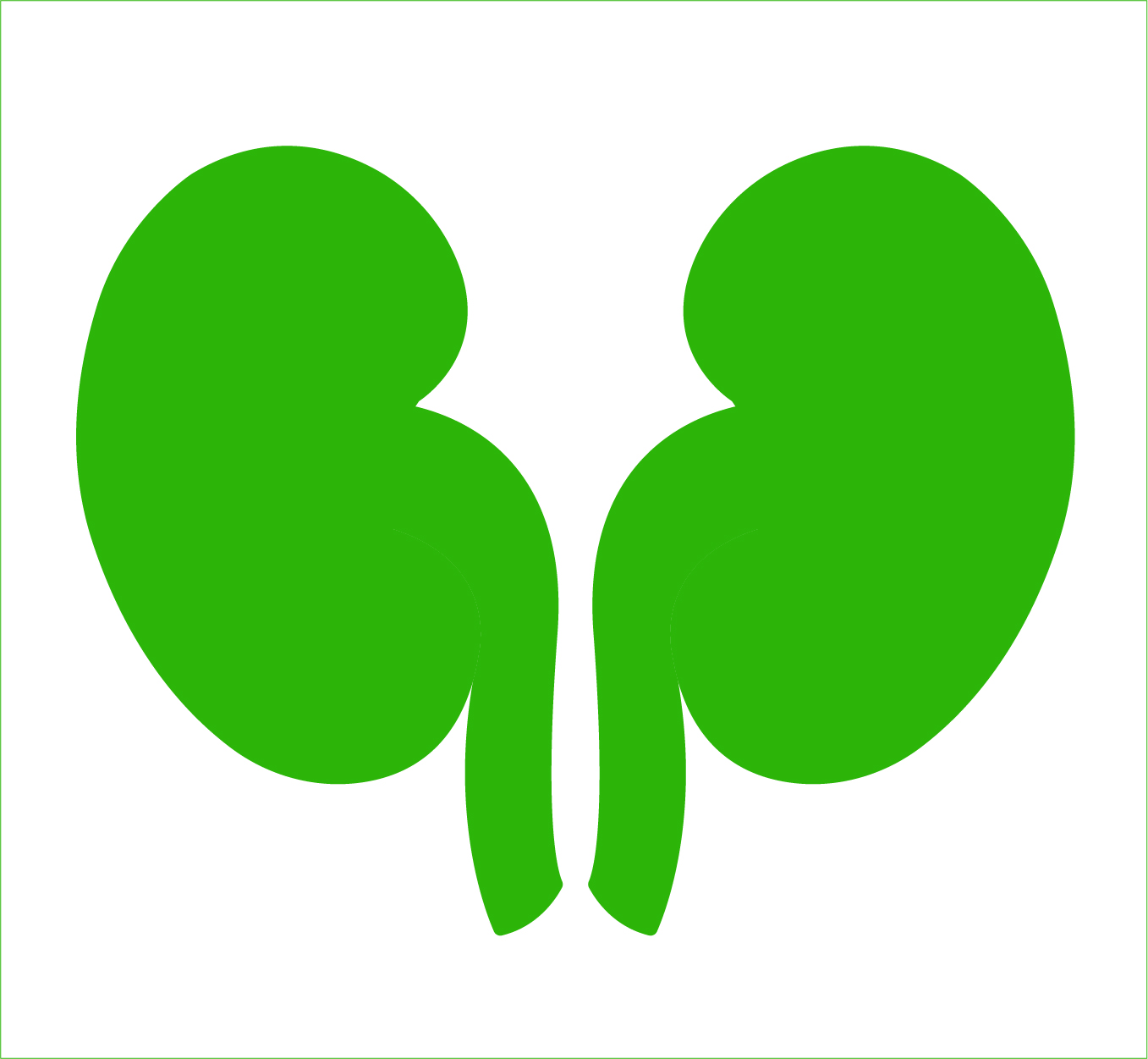 HOMEOPATHIC DOCTOR FOR KIDNEY STONE